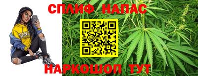индика Заводоуковск