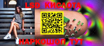 индика Заводоуковск