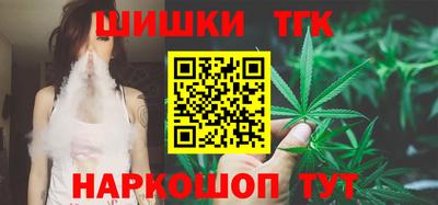 индика Заводоуковск