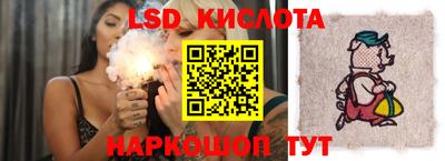 индика Заводоуковск