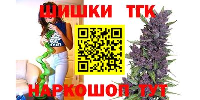 индика Заводоуковск