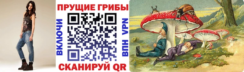 Псилоцибиновые грибы мицелий  цена   Менделеевск 