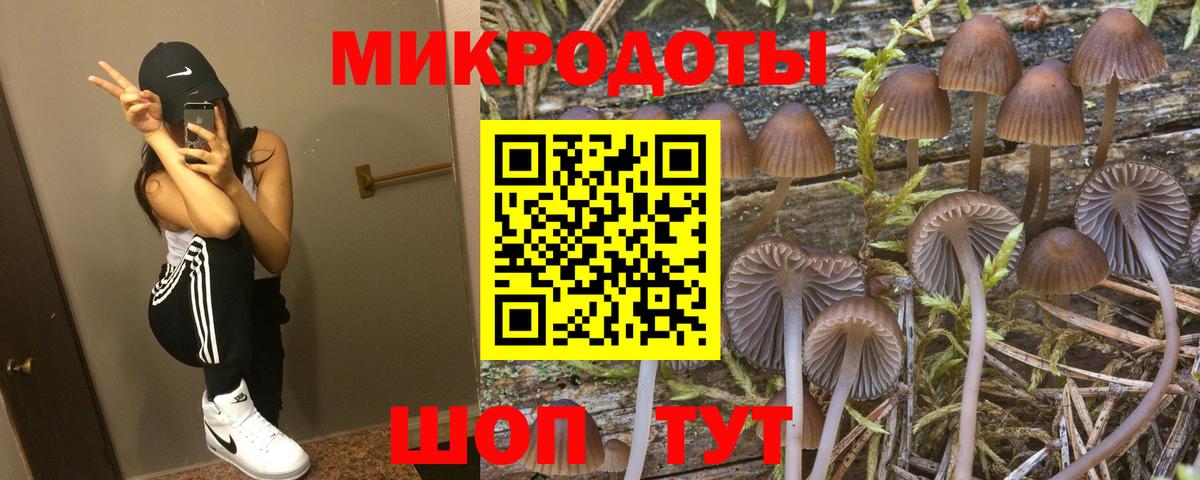 Галлюциногенные грибы прущие грибы  Псилоцибиновые грибы прущие грибы  Вход с VPN  Менделеевск 