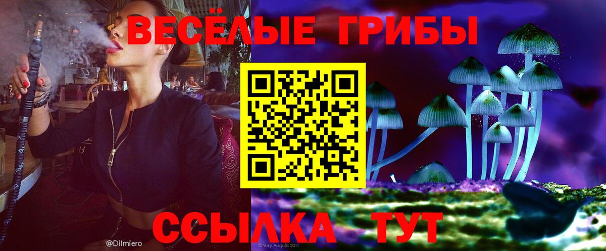 Галлюциногенные грибы прущие грибы Менделеевск